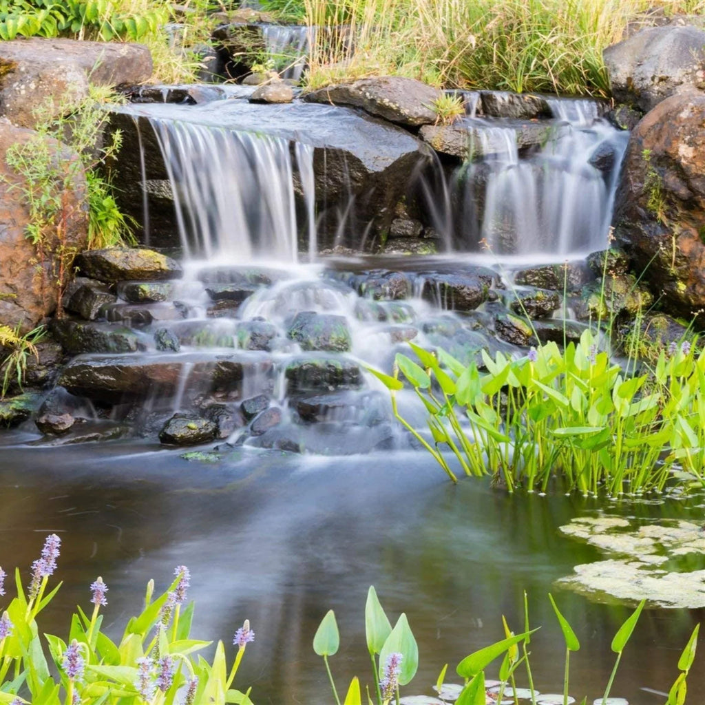 HALF OFF PONDS Piranha Series 10,500 GPH Direct Drive Submersible Pump for Water Gardens, Ponds and Waterfalls - PN-10500