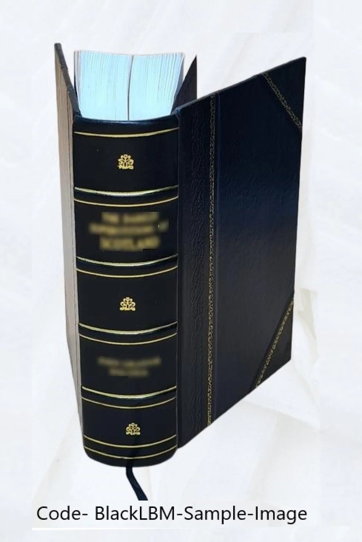 Isokratous Logoi kai epistolai. Isocratis orationes et epistolae. Cum Latina interpretatione Hier. VVolfij, ab ipso postremùm recognita. Henr. Steph. In Isocratem diatribæ 7 quarum