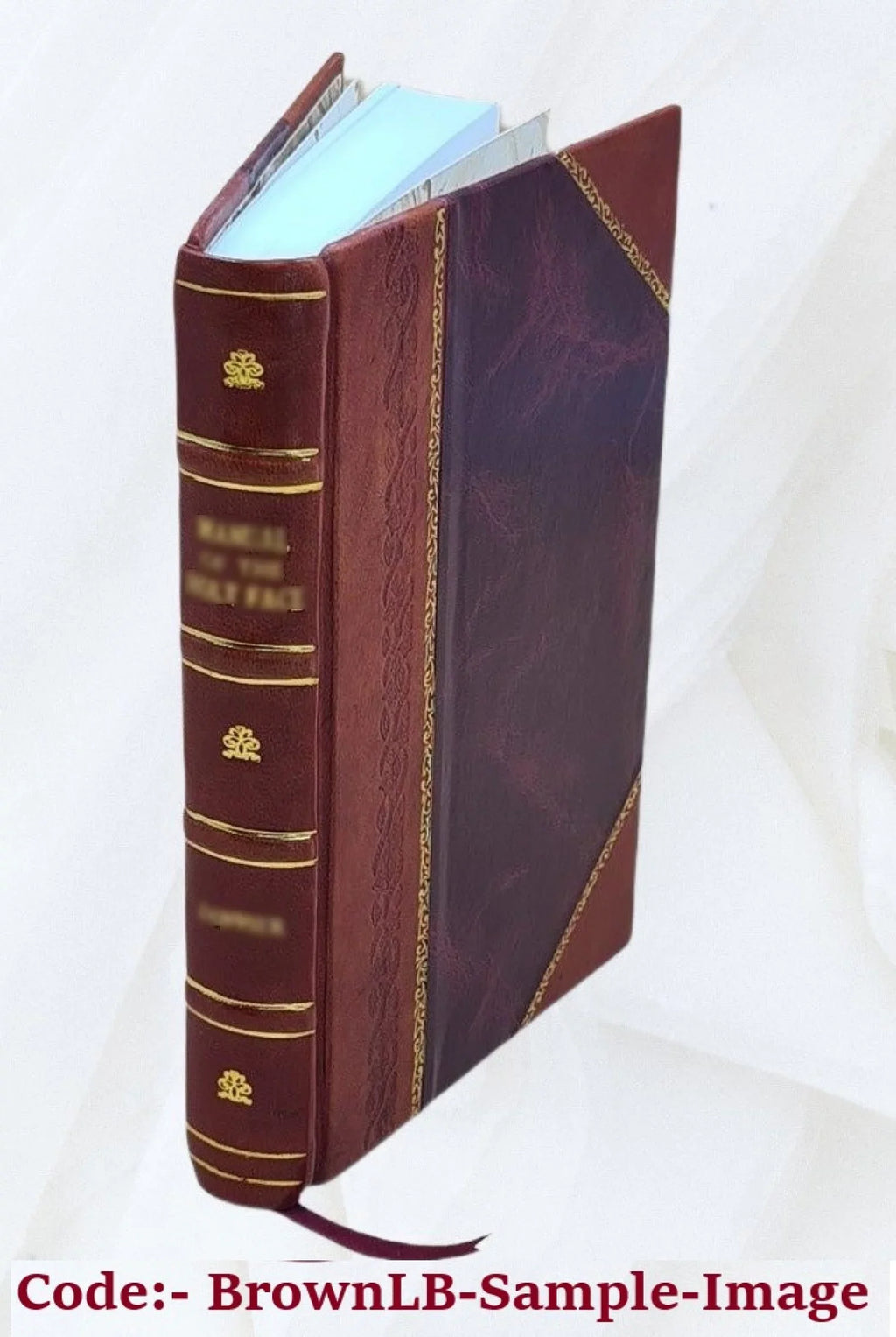 The Gambler and other Stories 1914 [Leather Bound]