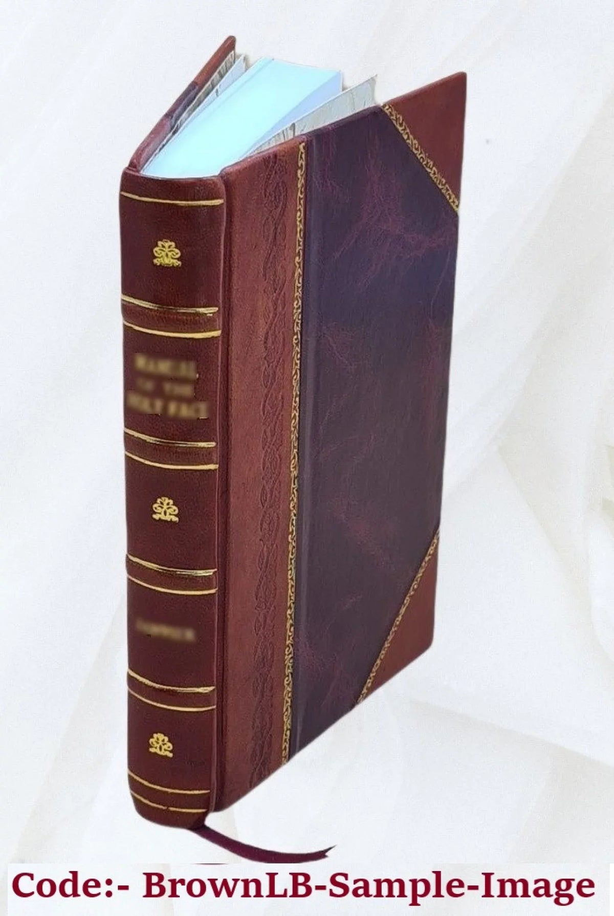 The Gambler and other Stories 1914 [Leather Bound]