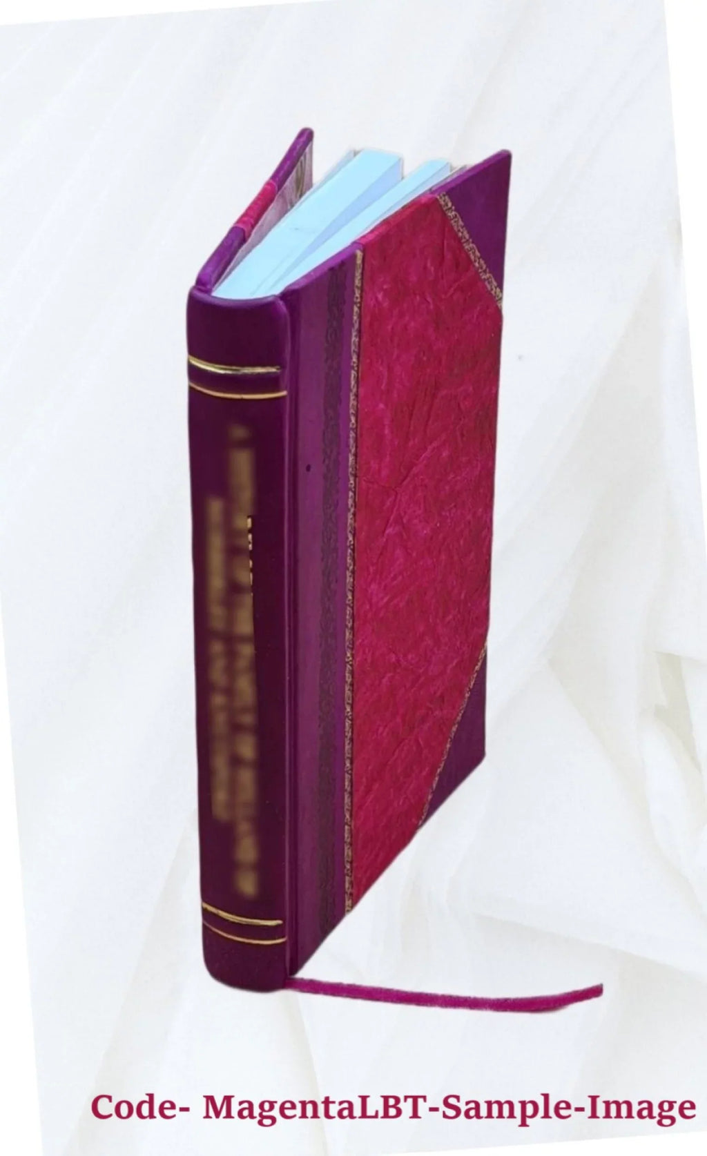 Breue ragionamento del reuer. M. Andrea Schiauetti Sopra l'acque, e bagni di San Casciano, e di quanto deue osseruarsi nel beuere, e bagnarsi in quest'acque 1583 [Leather Bound]