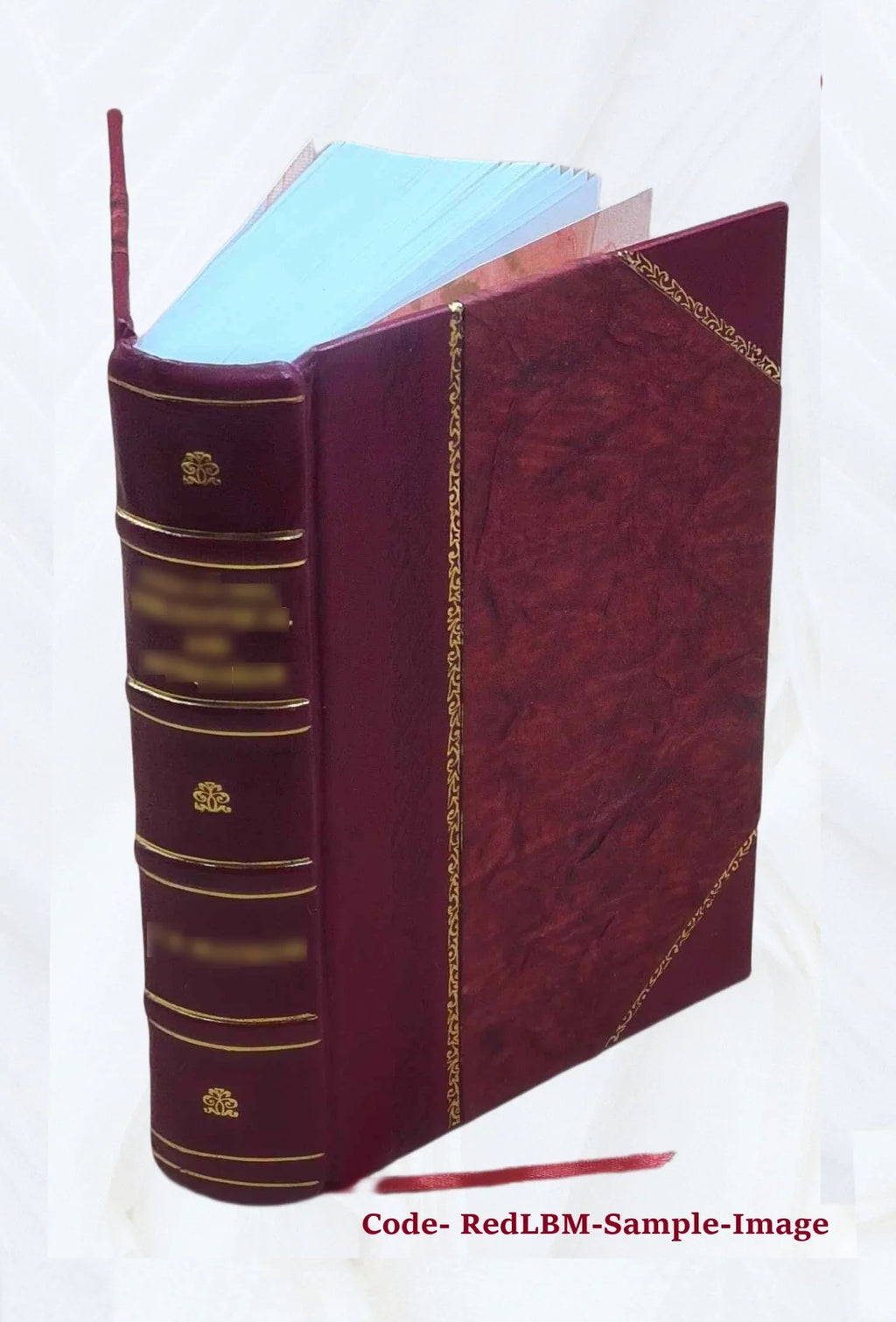 Euthymii monachi Zigabeni Orthodoxae fidei dogmatica Panoplia, hucusque latinis incognita [et] / nunc primum per Petrum Franciscum Zinum ... e graeco translata ... 1577 [Leather Bo