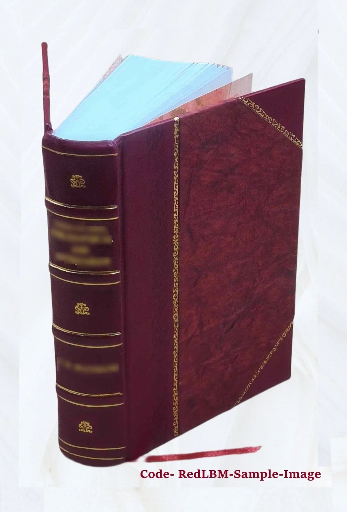 Gold rush : the journals, drawings, and other papers of J. Goldsborough Bruff, captain, Washington City and California Mining Association, April 2, 1849-July 20, 18 [Leather Bound]