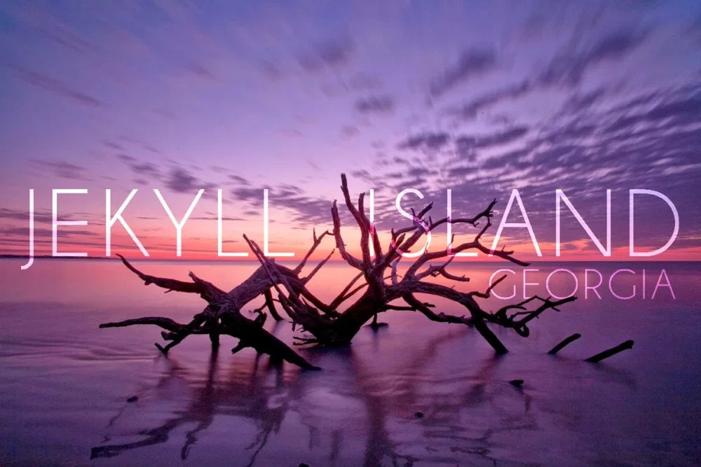 Jekyll Island, Georgia, Driftwood on Beach at Sunset (19x27 Inch Premium 500 Piece Jigsaw Puzzle for Adults and Family, Made in USA)