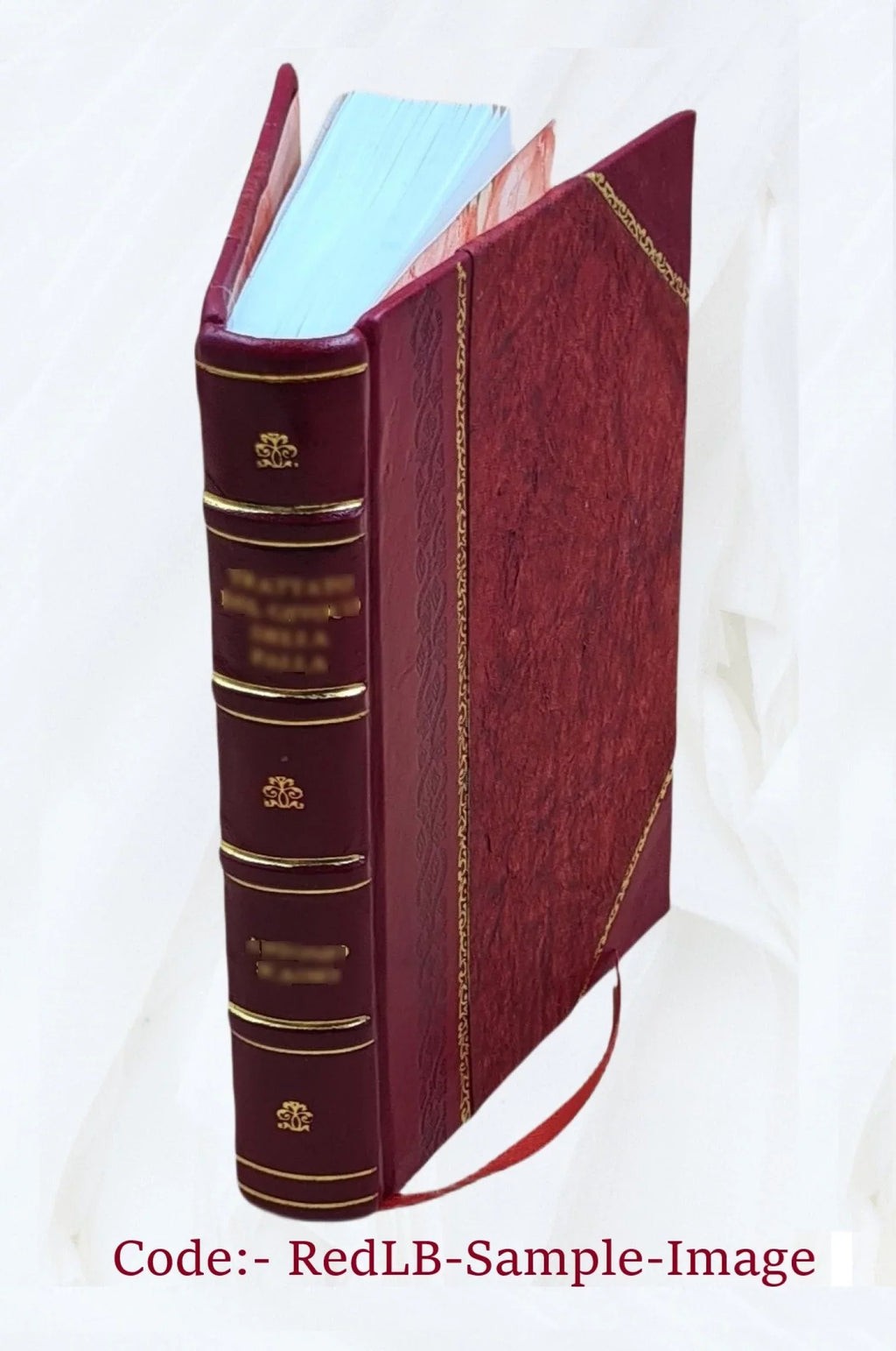 FSI - Sub-Saharan French FAST - Student Text [Leather Bound]