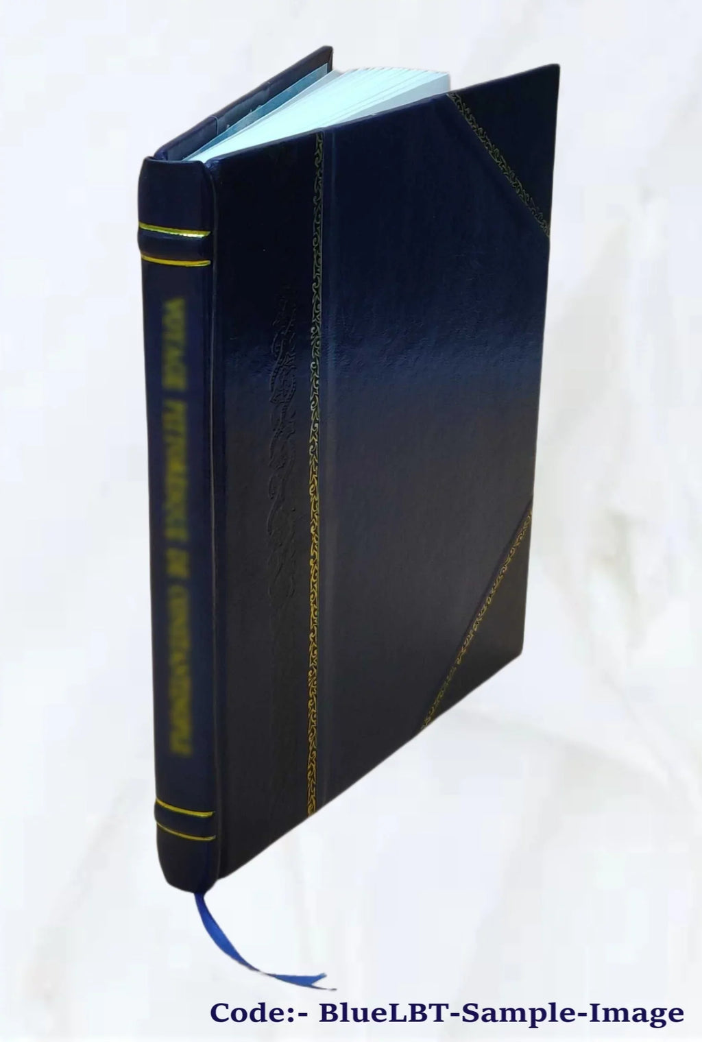 Draft environmental assessment : San Lorenzo River, Section 1135 restoration study, city of Santa Cruz, Santa Cruz County, California. 1996 [Leather Bound]